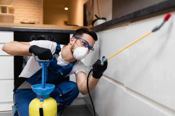 Best Rat Extermination Near Me  in Midland Park, NJ