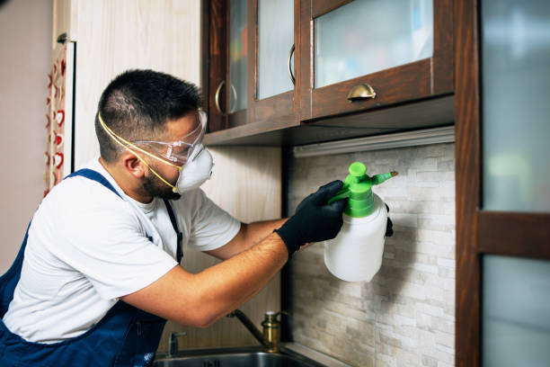 Best Best Pest Control Companies  in Midland Park, NJ