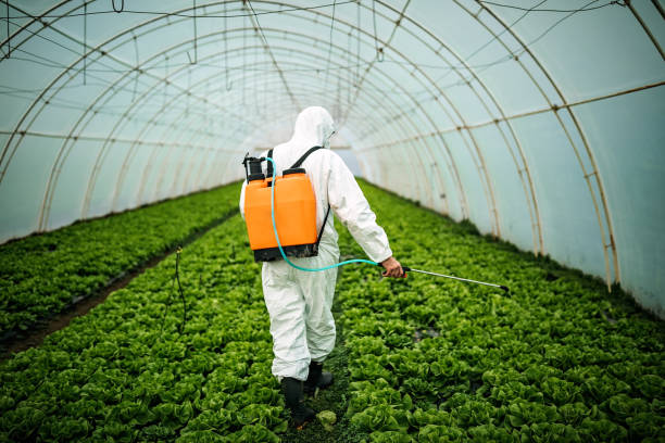 Best Pest Control Near Me in Midland Park, NJ