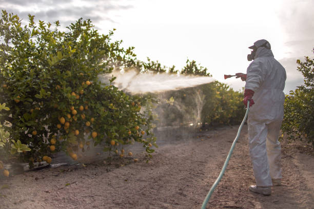 Best Wildlife Control Services  in Midland Park, NJ