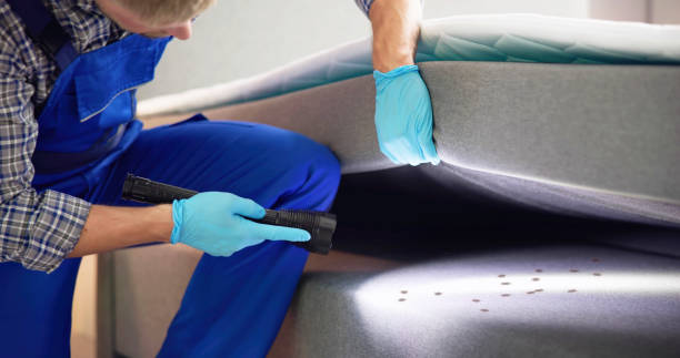 Best Best Pest Control Near Me  in Midland Park, NJ