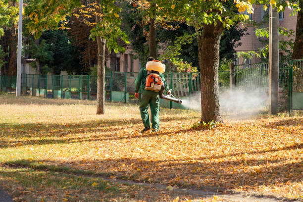 Best Rodent Control Near Me  in Midland Park, NJ