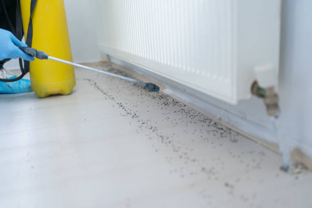 Best Affordable Pest Control Services  in Midland Park, NJ