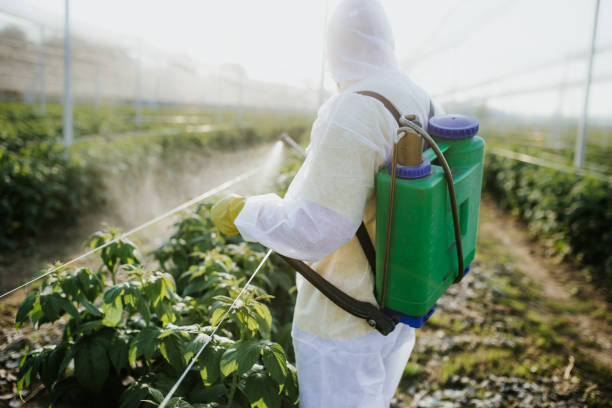 Best Flea Control Services  in Midland Park, NJ